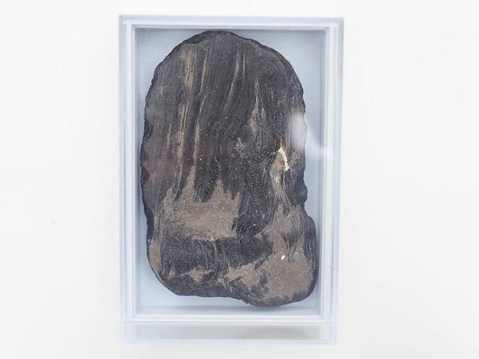 Whitby Jet Display Piece