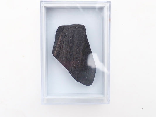 Whitby Jet Display Piece