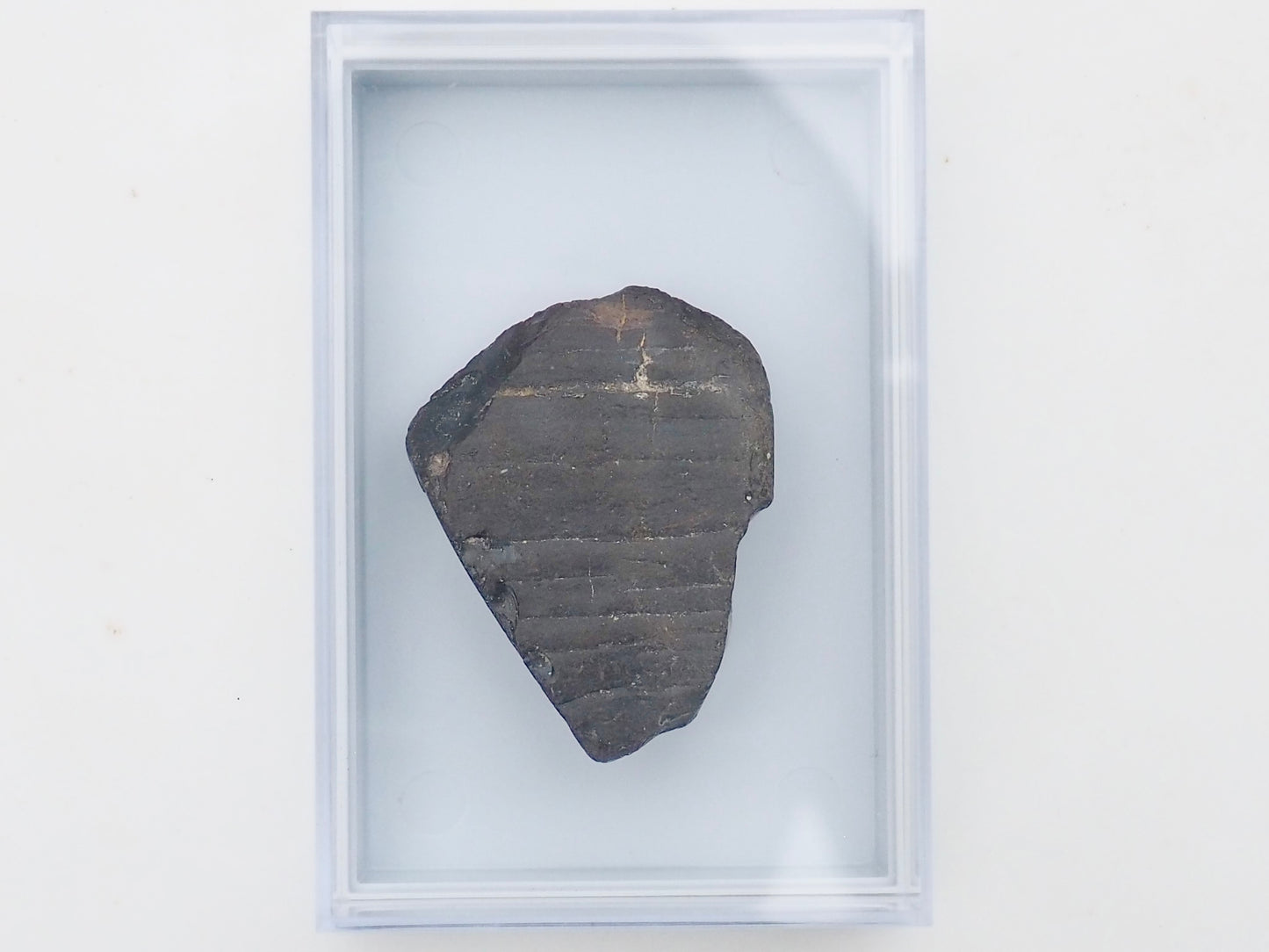 Whitby Jet Display Piece