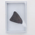 Whitby Jet Display Piece