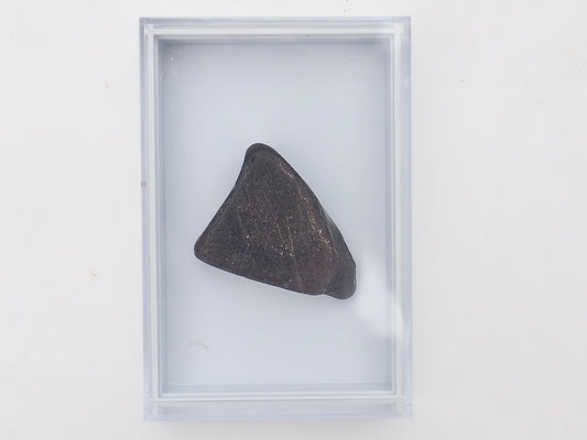 Whitby Jet Display Piece