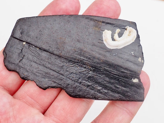 Whitby Jet Display Piece