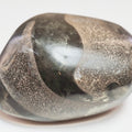 Polished Ichthyosaur Bone Pebble – Jurassic Yorkshire Coast Fossil