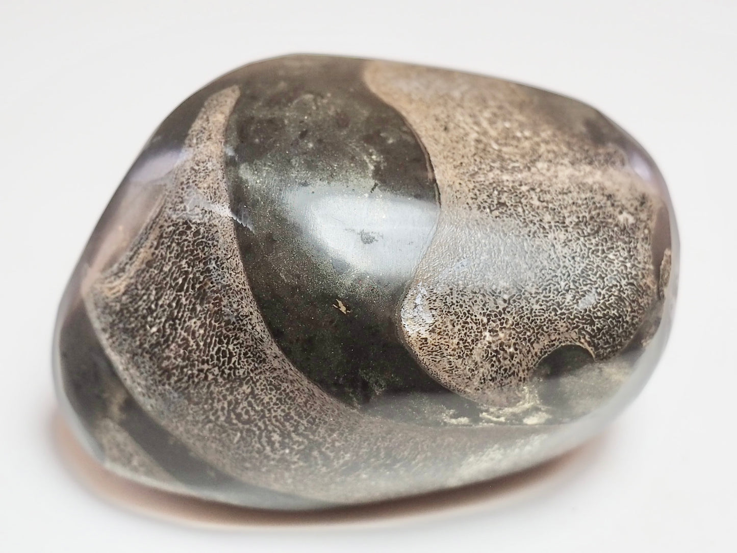 Polished Ichthyosaur Bone Pebble – Jurassic Yorkshire Coast Fossil