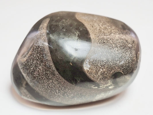 Polished Ichthyosaur Bone Pebble – Jurassic Yorkshire Coast Fossil