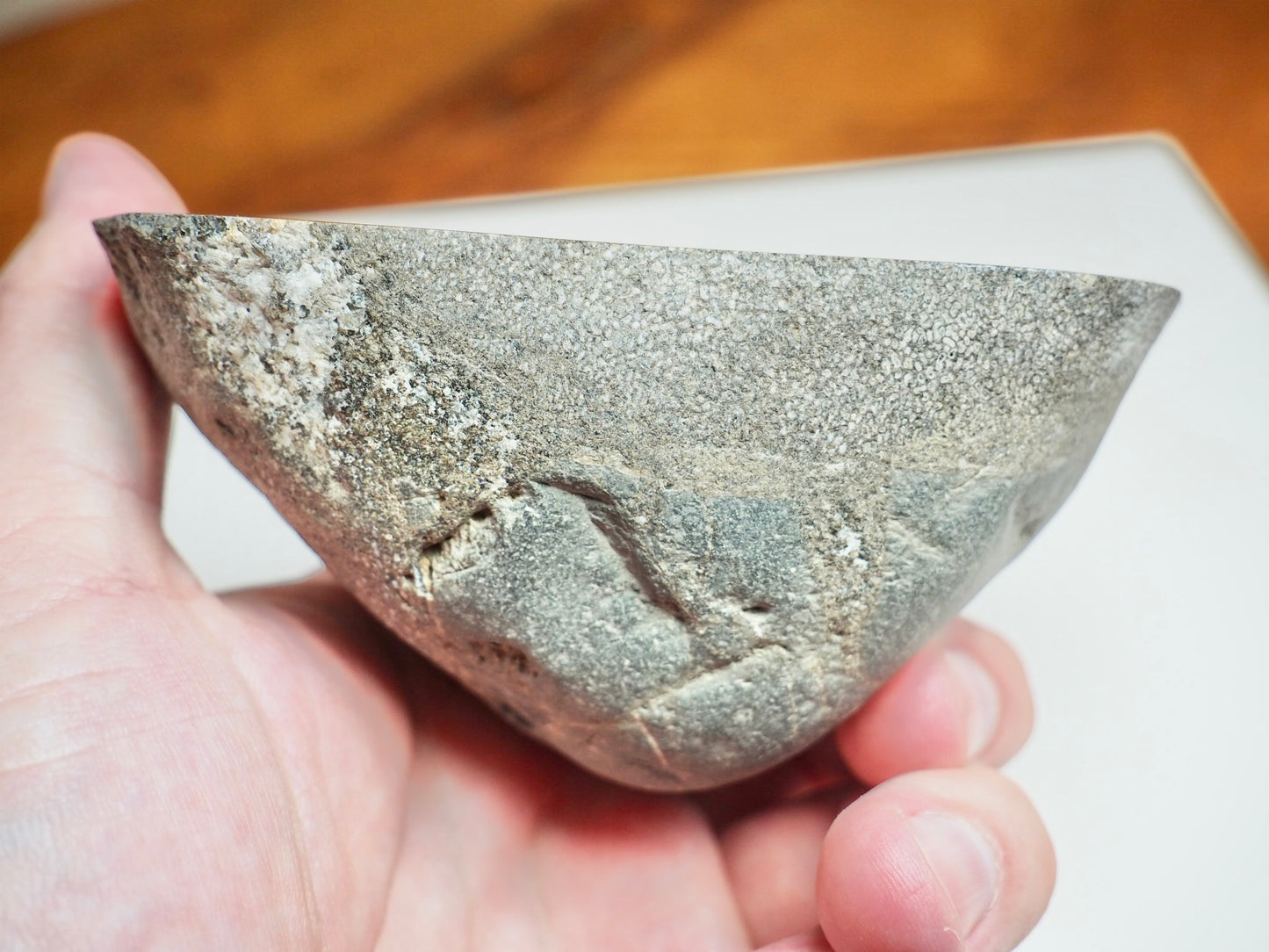 Large Polished Plesiosaur Vertebra – Sliced Jurassic Fossil – Yorkshire