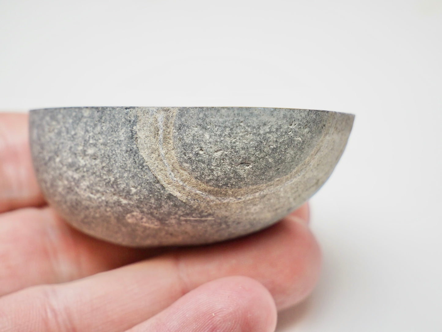 Cut & Polished Ichthyosaur Vertebra – Classic Hourglass Shape – Yorkshire