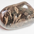 Stunning Polished Ichthyosaur Bone Block – Jurassic Yorkshire Coast Fossil