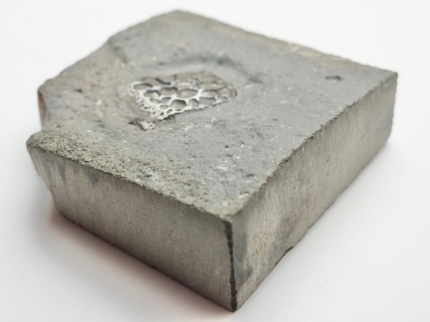 Rare Fossilised Crocodile Scute – Jurassic Osteoderm – Yorkshire Coast