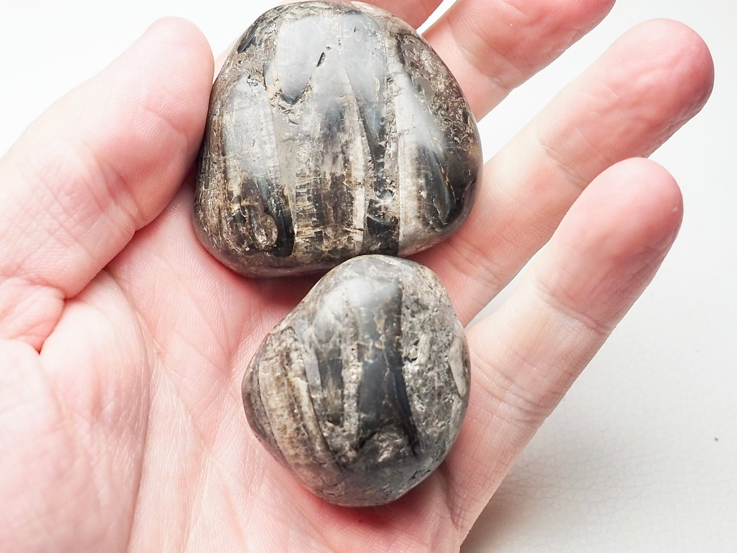 Hand Polished Belemnite Pebbles x2