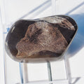 Polished Ichthyosaur Bones – Whitby Yorkshire Coast – Jurassic