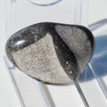 Polished Marine Reptile Bones