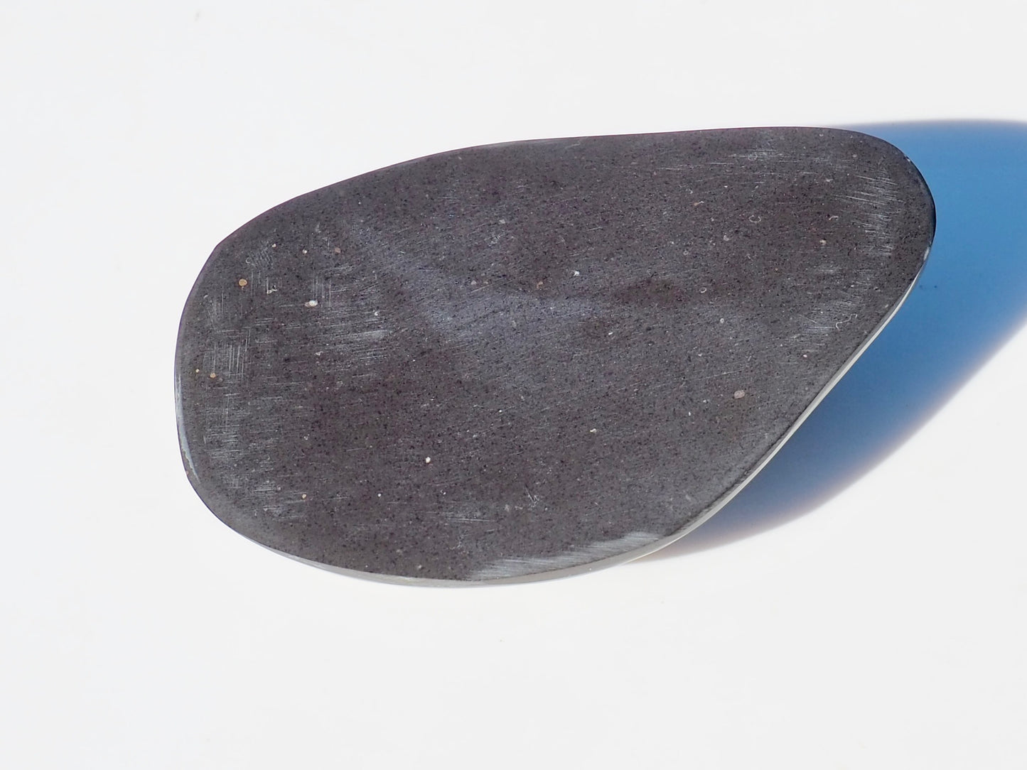 Polished Marine Reptile Bones