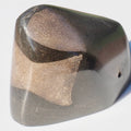 Ichthyosaur Bones Paper Weight