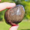 Polished Ichthyosaur Vert
