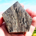 Whitby Belemnite Battlefield Fossil – Cut And Polished Jurassic Display