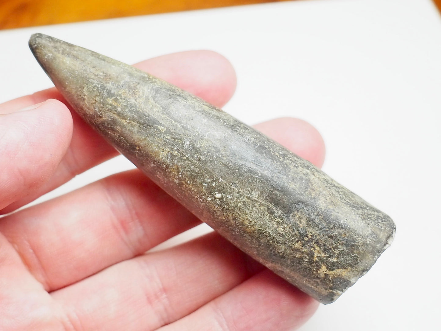 Large Jurassic Belemnite Fossil From Whitby Yorkshire Coast