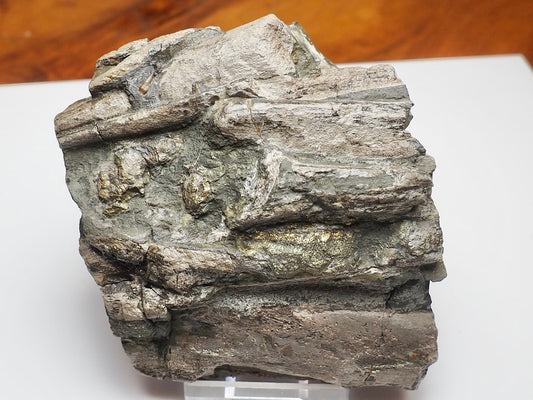 Ichthyosaur Jaw Fossil With Tooth Whitby Yorkshire Coast