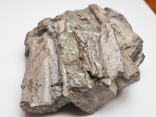 Ichthyosaur Jaw Fossil With Tooth Whitby Yorkshire Coast