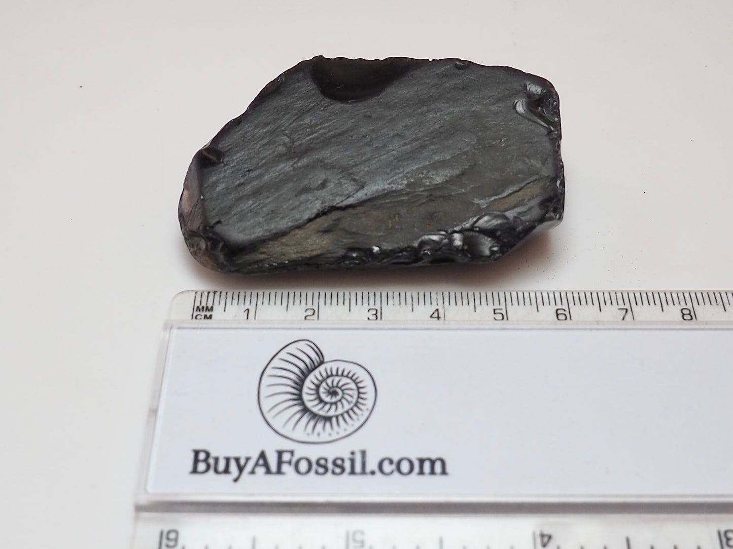 Raw Whitby Jet Specimen (31g) – Authentic Whitby Jet