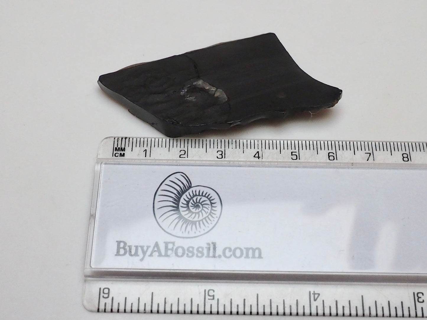 Raw Whitby Jet Specimen (8g) – Authentic Whitby Jet