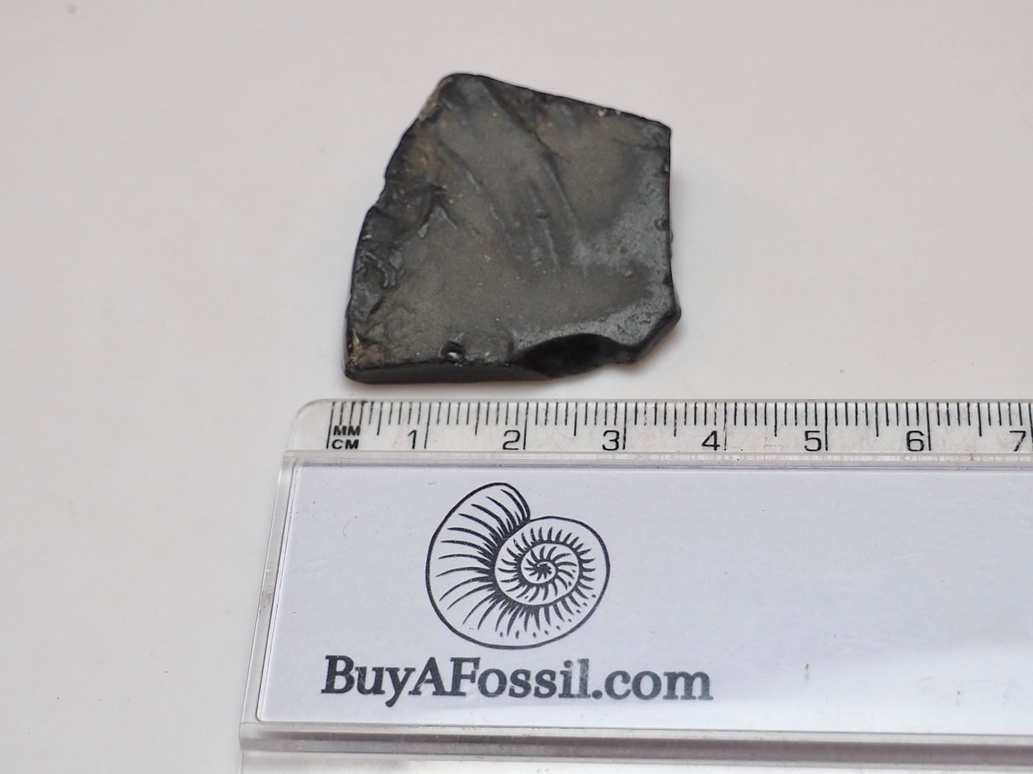 Raw Whitby Jet Specimen (6.6g) – Authentic Whitby Jet