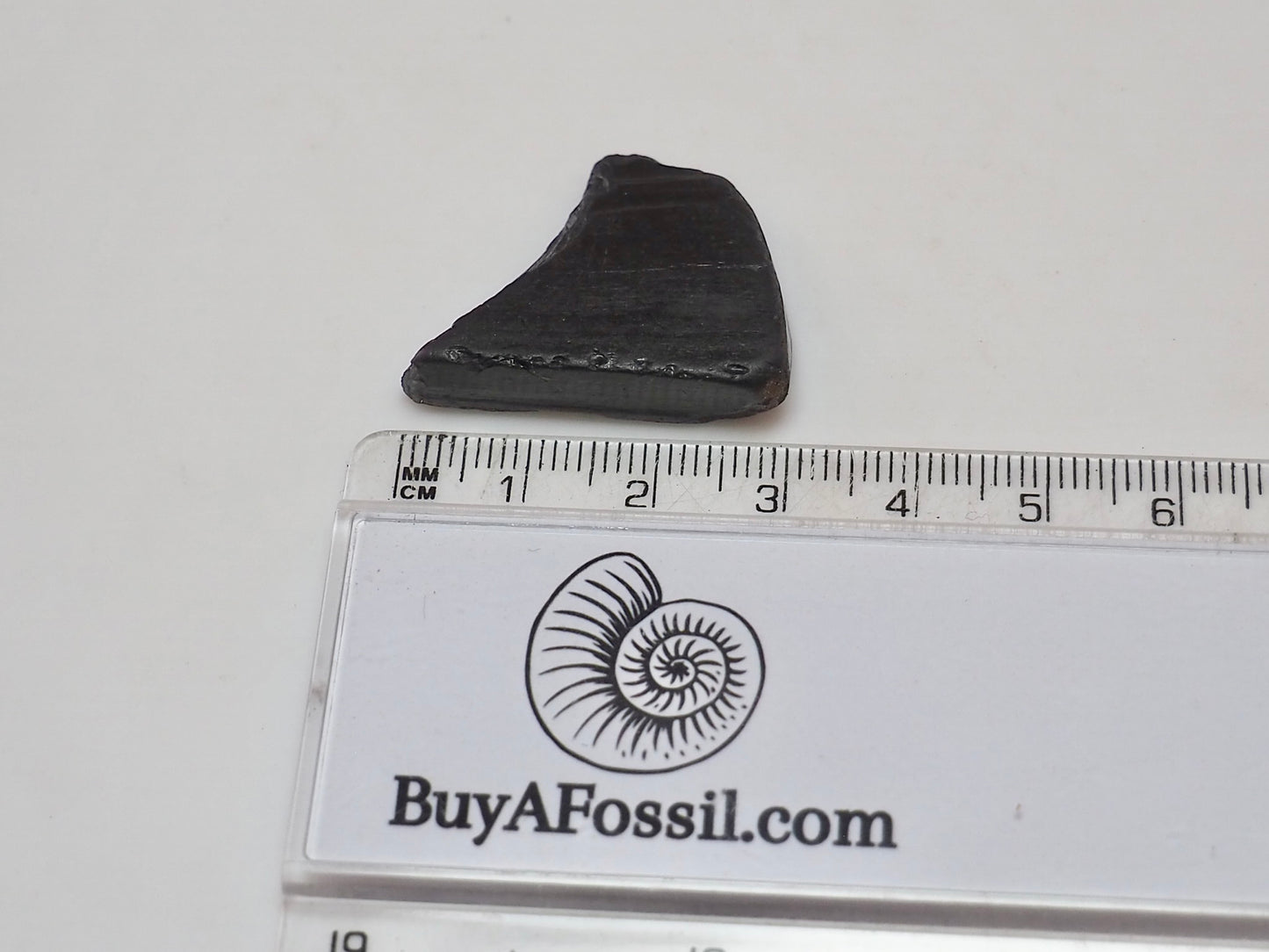 Raw Whitby Jet Specimen (3.8g) – Authentic Whitby Jet