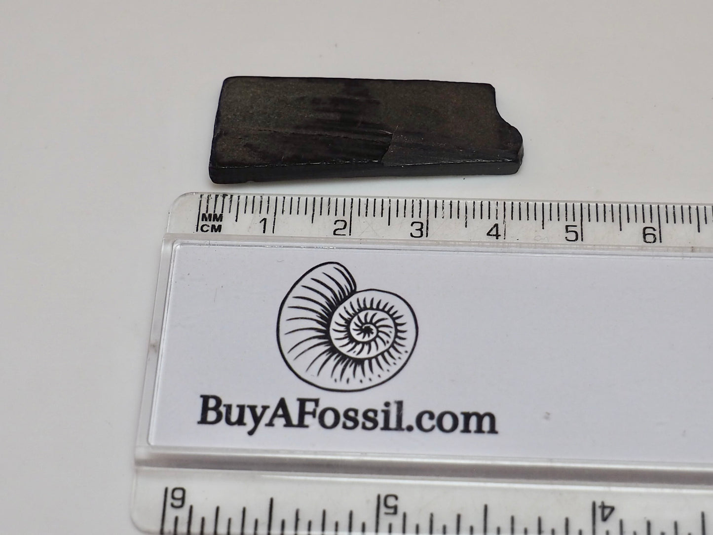 Raw Whitby Jet Specimen (2.4g) – Authentic Whitby Jet