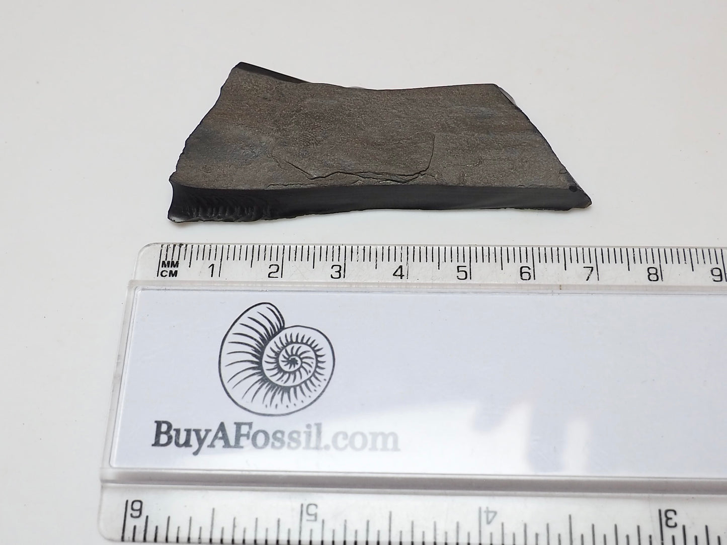 Raw Whitby Jet Specimen (9.5g) – Authentic Whitby Jet