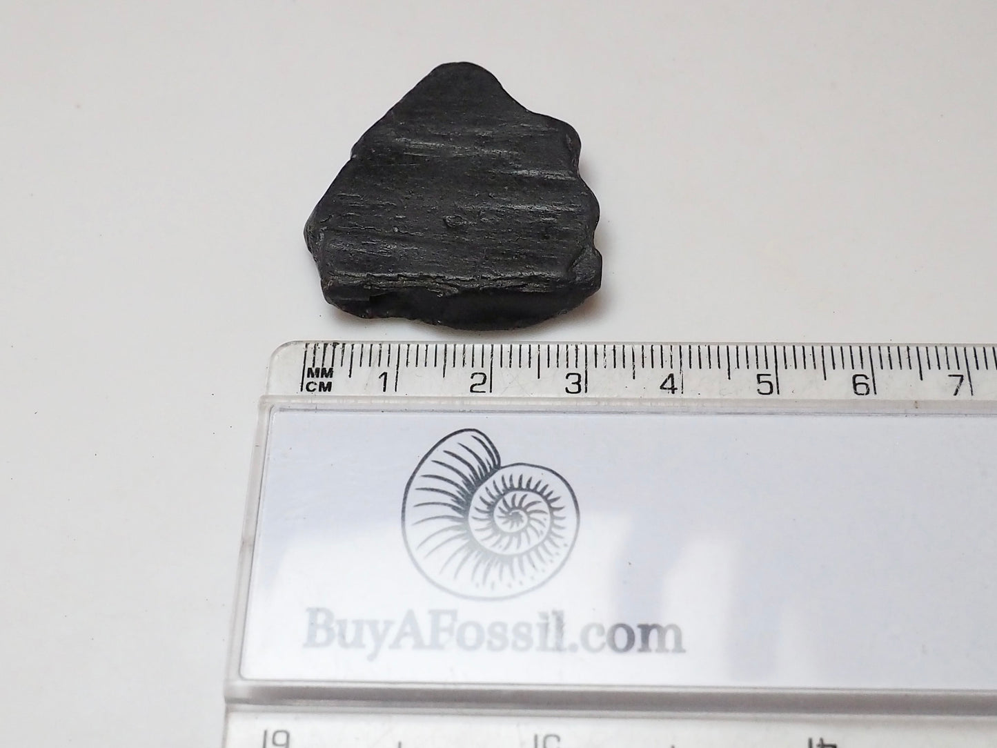 Raw Whitby Jet Specimen (5.3g) – Authentic Whitby Jet