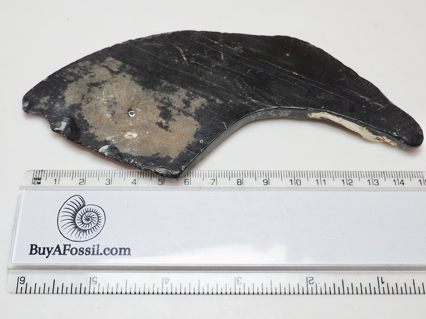 Raw Whitby Jet Specimen (44.4g) – Authentic Whitby Jet
