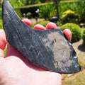 Raw Whitby Jet Specimen (44.4g) – Authentic Whitby Jet