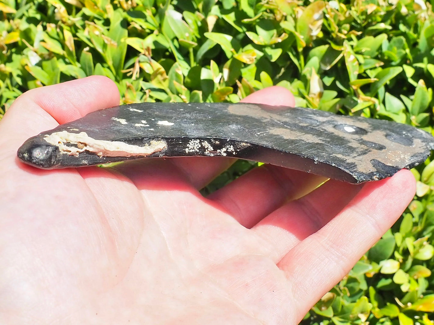 Raw Whitby Jet Specimen (44.4g) – Authentic Whitby Jet