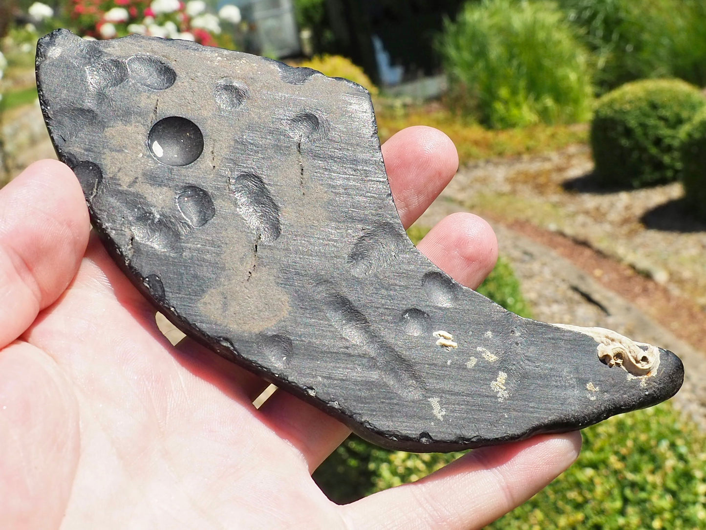 Raw Whitby Jet Specimen (44.4g) – Authentic Whitby Jet