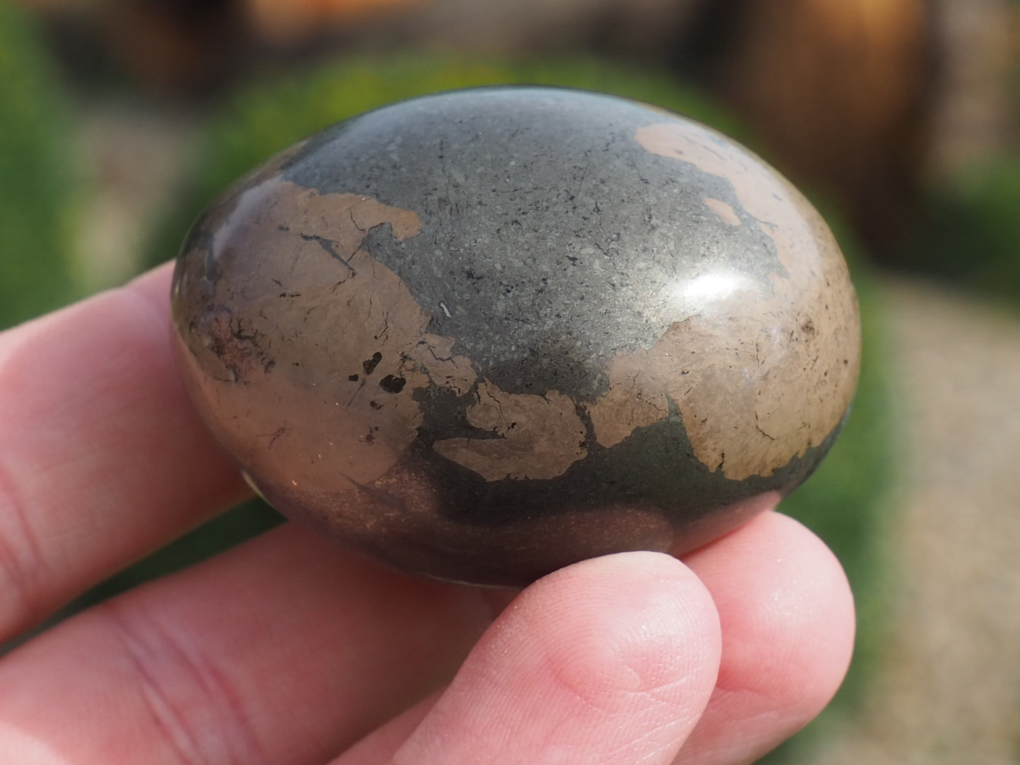 Unique Coprolite Fossil in Polished Pyrite Nodule – Whitby Yorkshire Coast – Jurassic Fossil