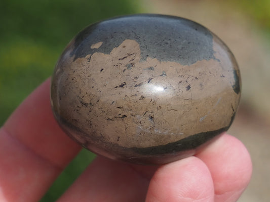Unique Coprolite Fossil in Polished Pyrite Nodule – Whitby Yorkshire Coast – Jurassic Fossil