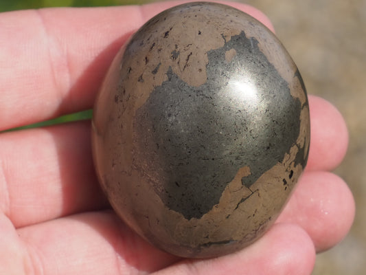 Unique Coprolite Fossil in Polished Pyrite Nodule – Whitby Yorkshire Coast – Jurassic Fossil