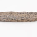 Fossil Wood Fossil – Whitby Yorkshire Coast – Jurassic Fossil
