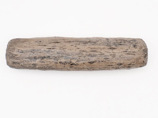 Fossil Wood Fossil – Whitby Yorkshire Coast – Jurassic Fossil