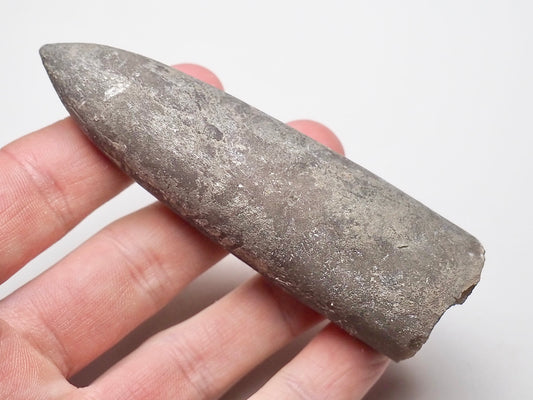 Belemnite