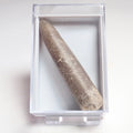 Belemnite Boxed Specimen