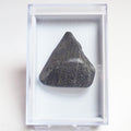Whitby Jet Display Piece