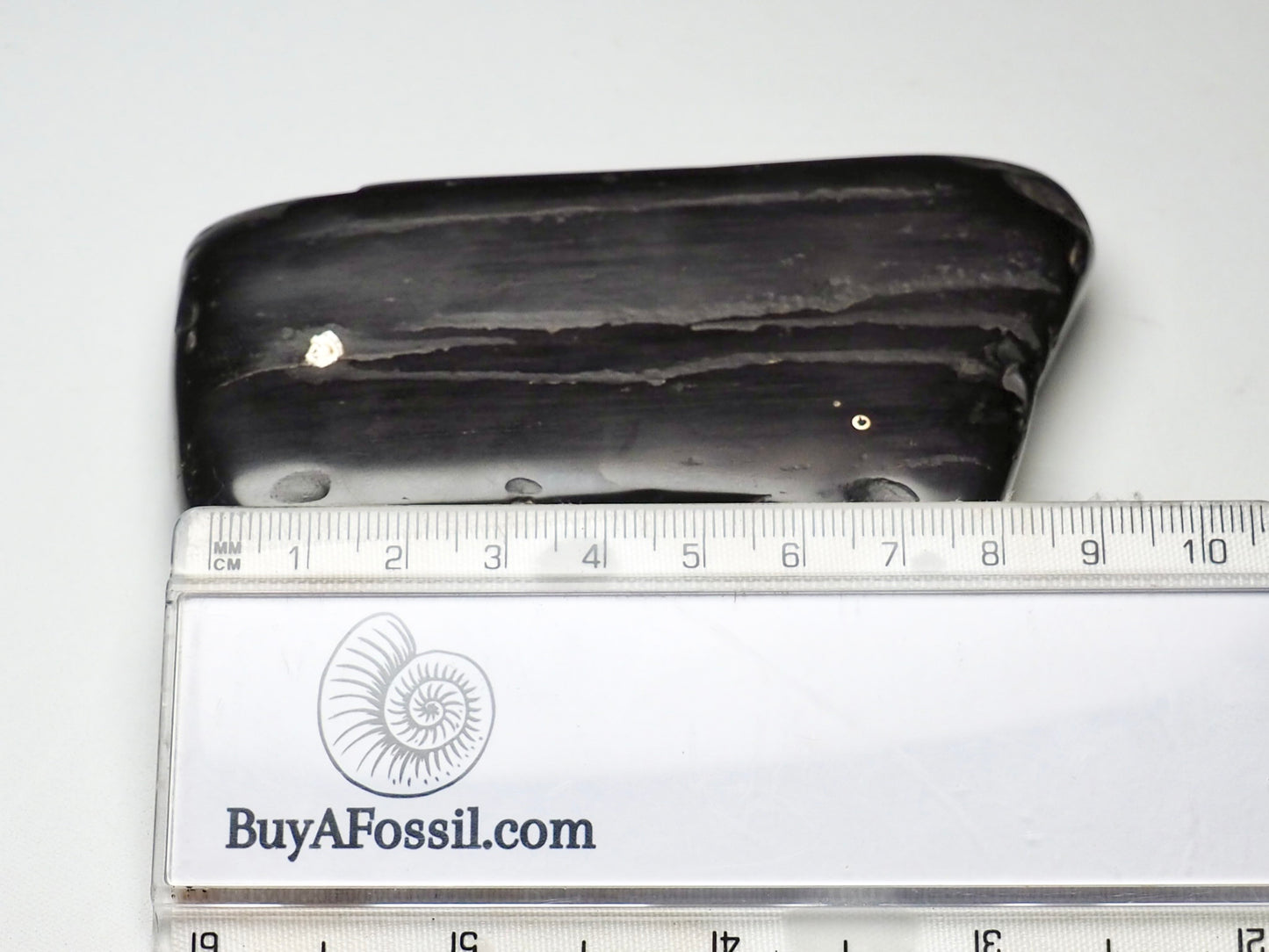 RARE Whitby Jet