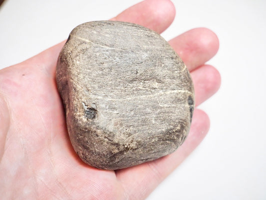 Fossil Wood -  Pick N Mix