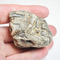 Belemnites - Pick N Mix