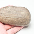 Fossil Wood - Pick N Mix