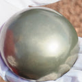 Rare Golden Polished Cannonball Nodule Half – Eleganticeras Ammonite – Whitby