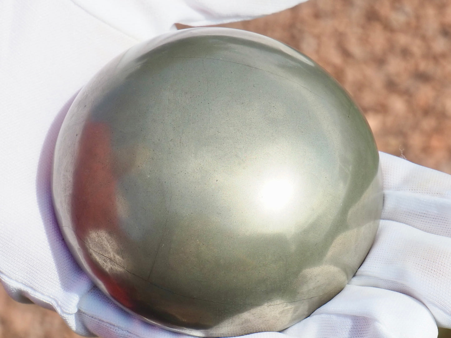 Rare Golden Polished Cannonball Nodule Half – Eleganticeras Ammonite – Whitby
