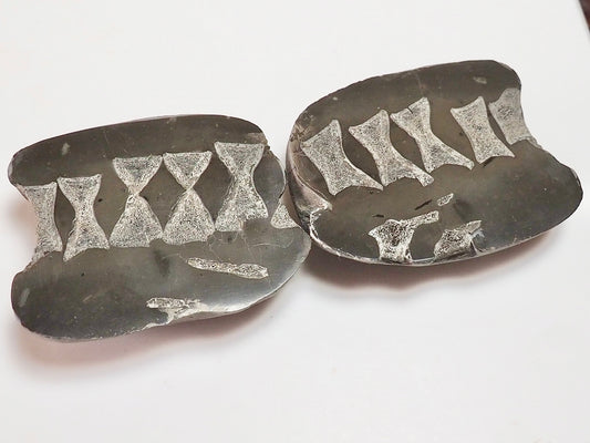 Ichthyosaur Vert String