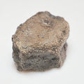 Boxed Ichthyosaur Paddle Bone Fossil – Jurassic Marine Reptile from Whitby